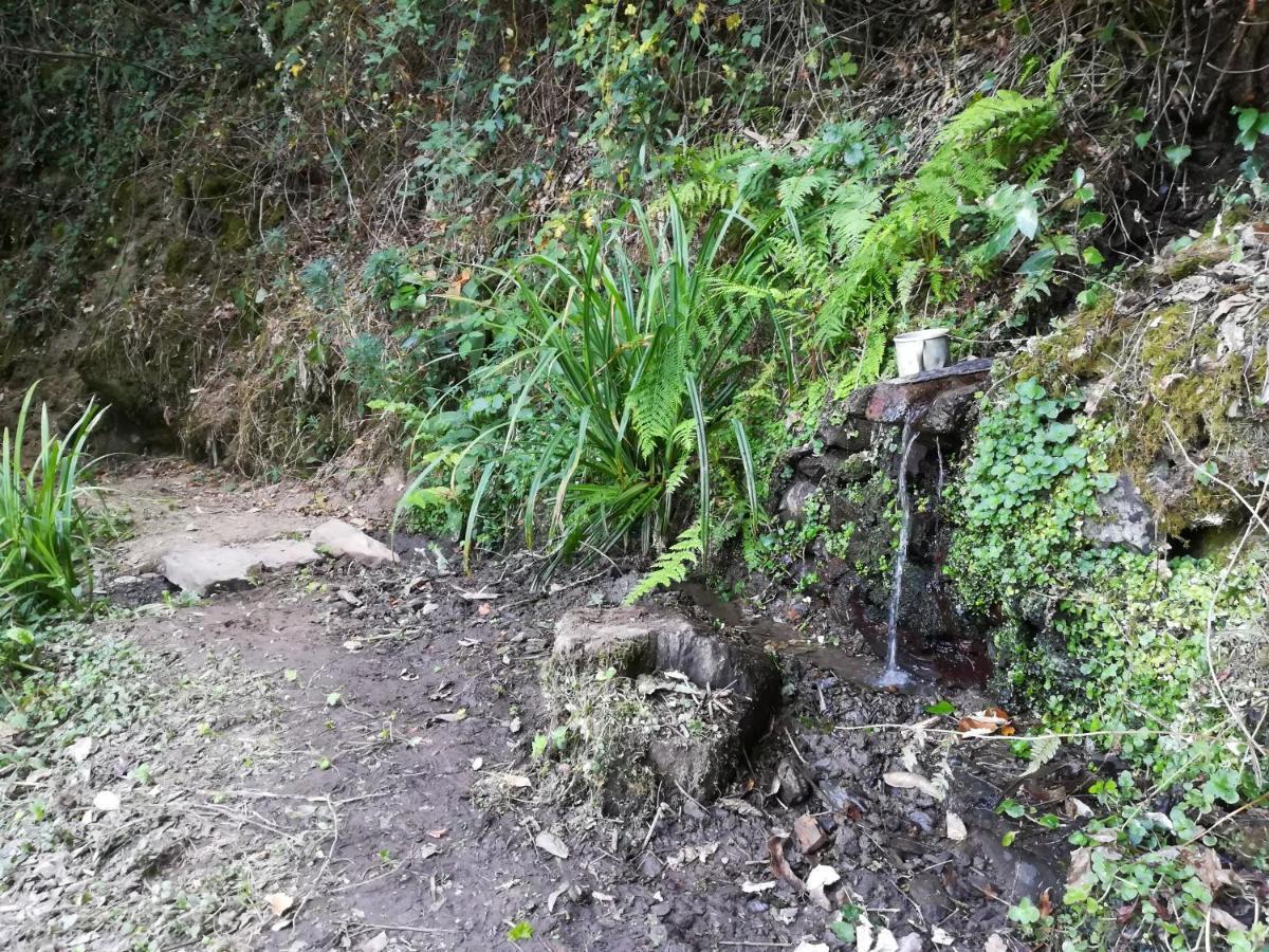 Quinta Da Portelada Peso da Régua Exteriér fotografie