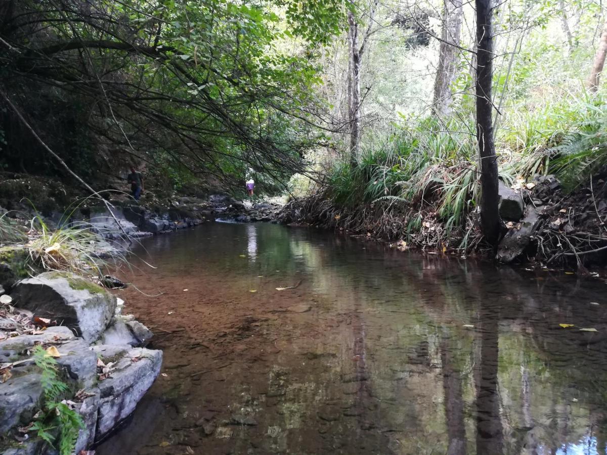 Quinta Da Portelada Peso da Régua Exteriér fotografie