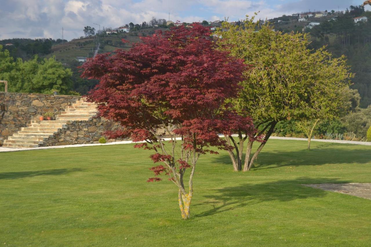 Quinta Da Portelada Peso da Régua Exteriér fotografie