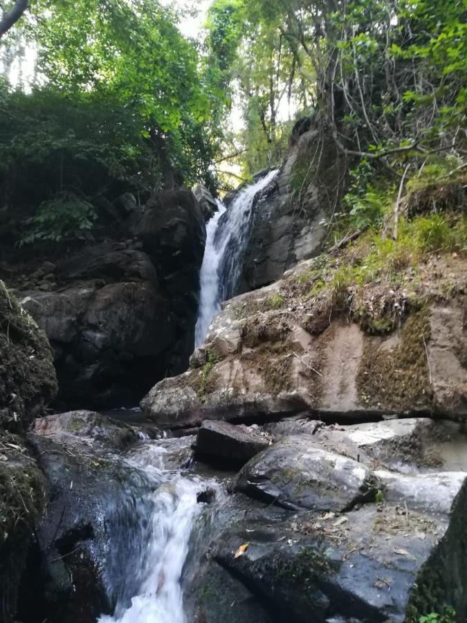 Quinta Da Portelada Peso da Régua Exteriér fotografie