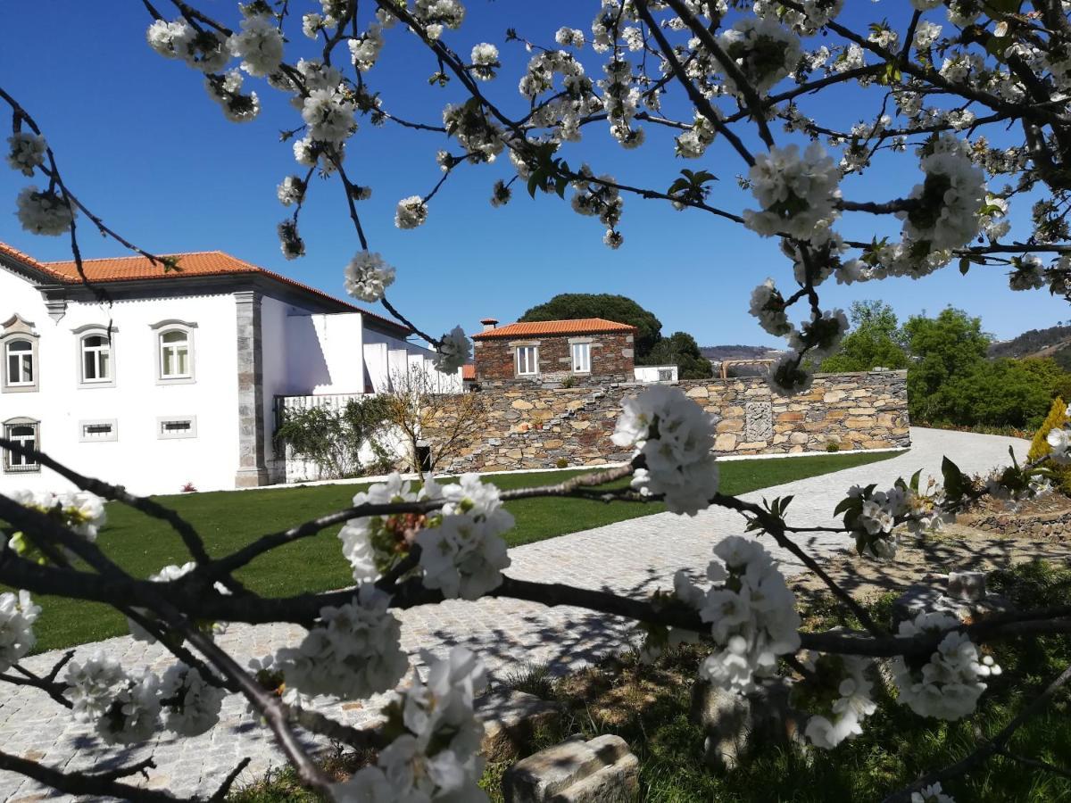 Quinta Da Portelada Peso da Régua Exteriér fotografie