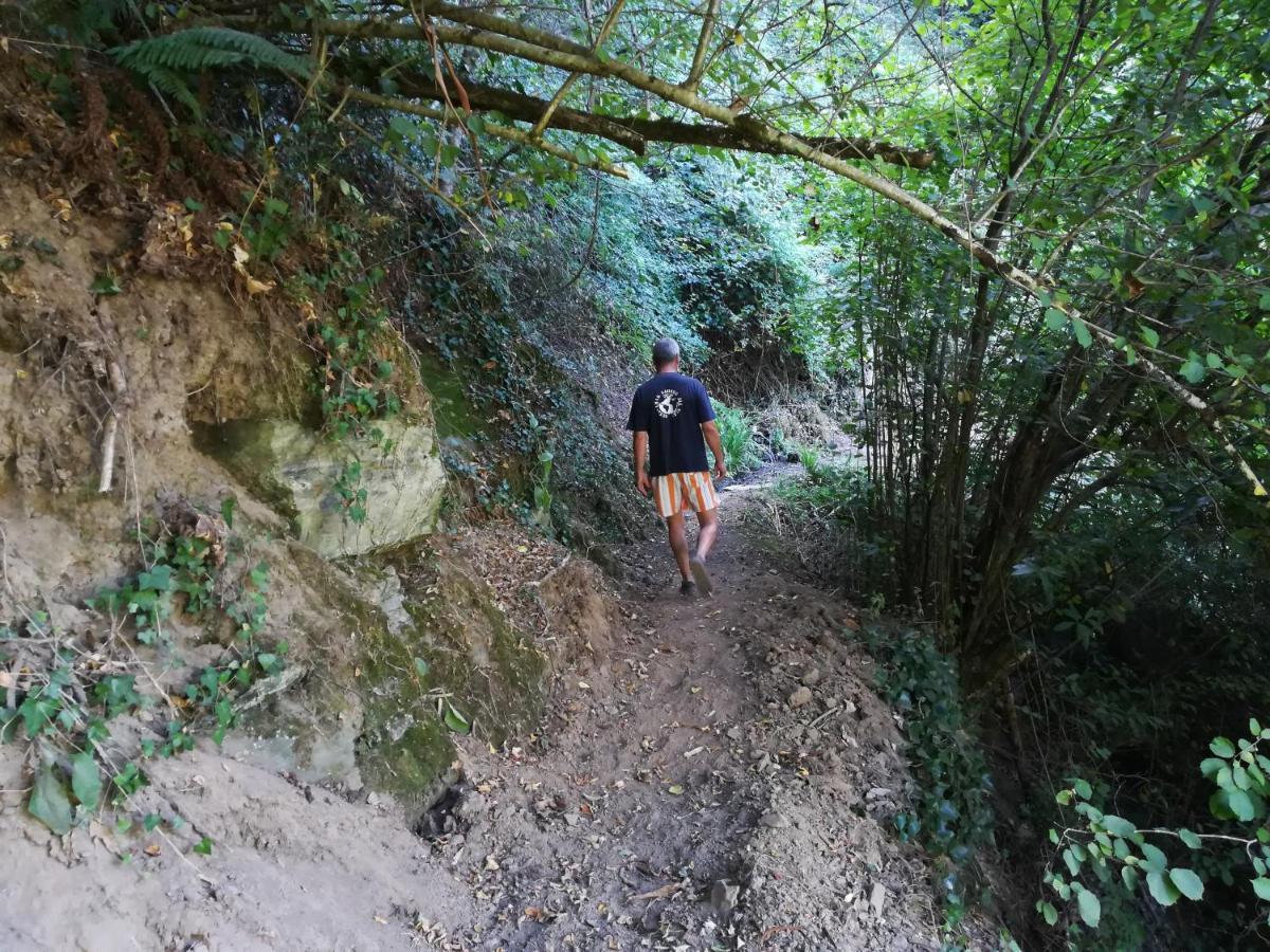 Quinta Da Portelada Peso da Régua Exteriér fotografie
