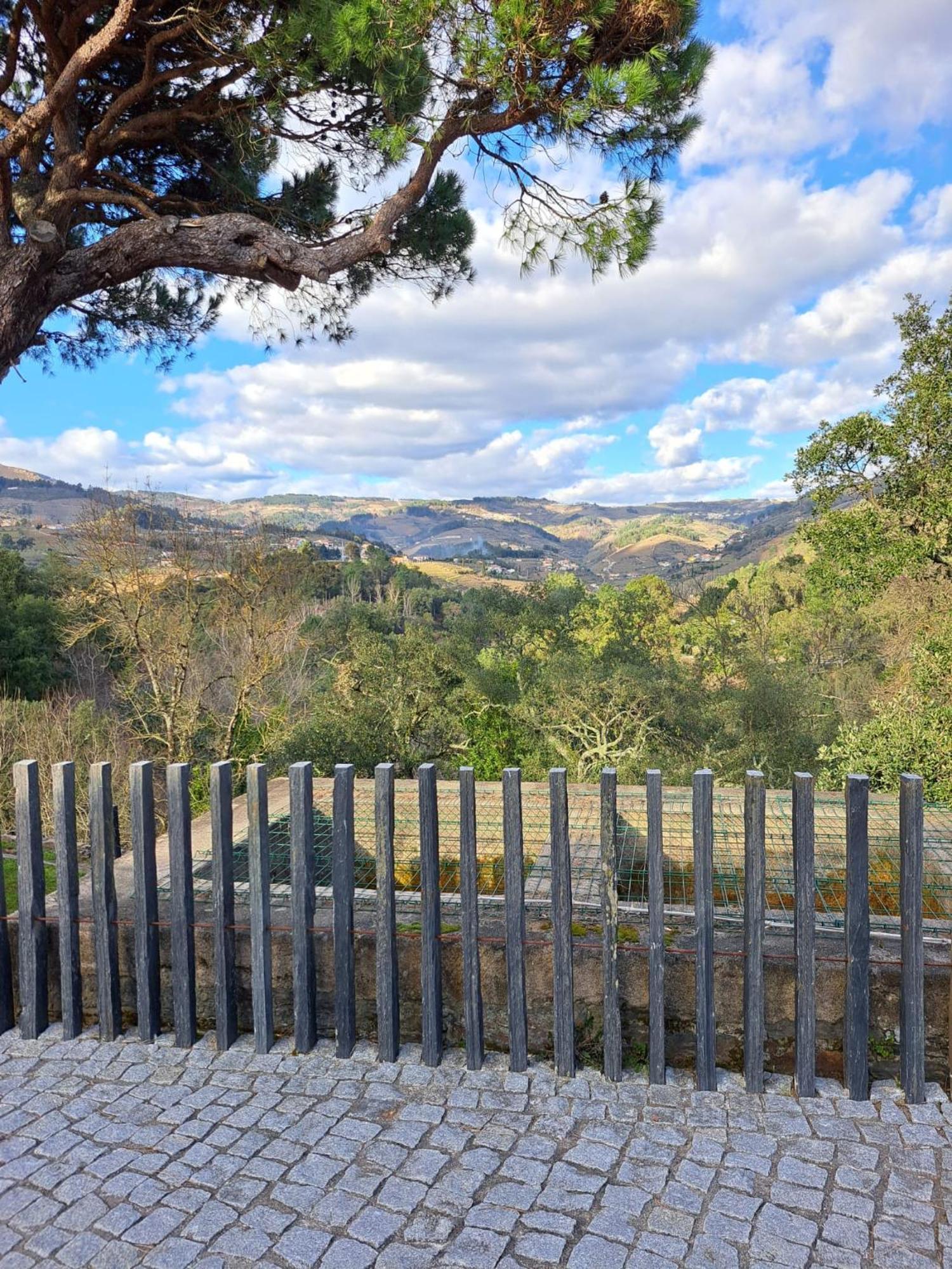 Quinta Da Portelada Peso da Régua Exteriér fotografie