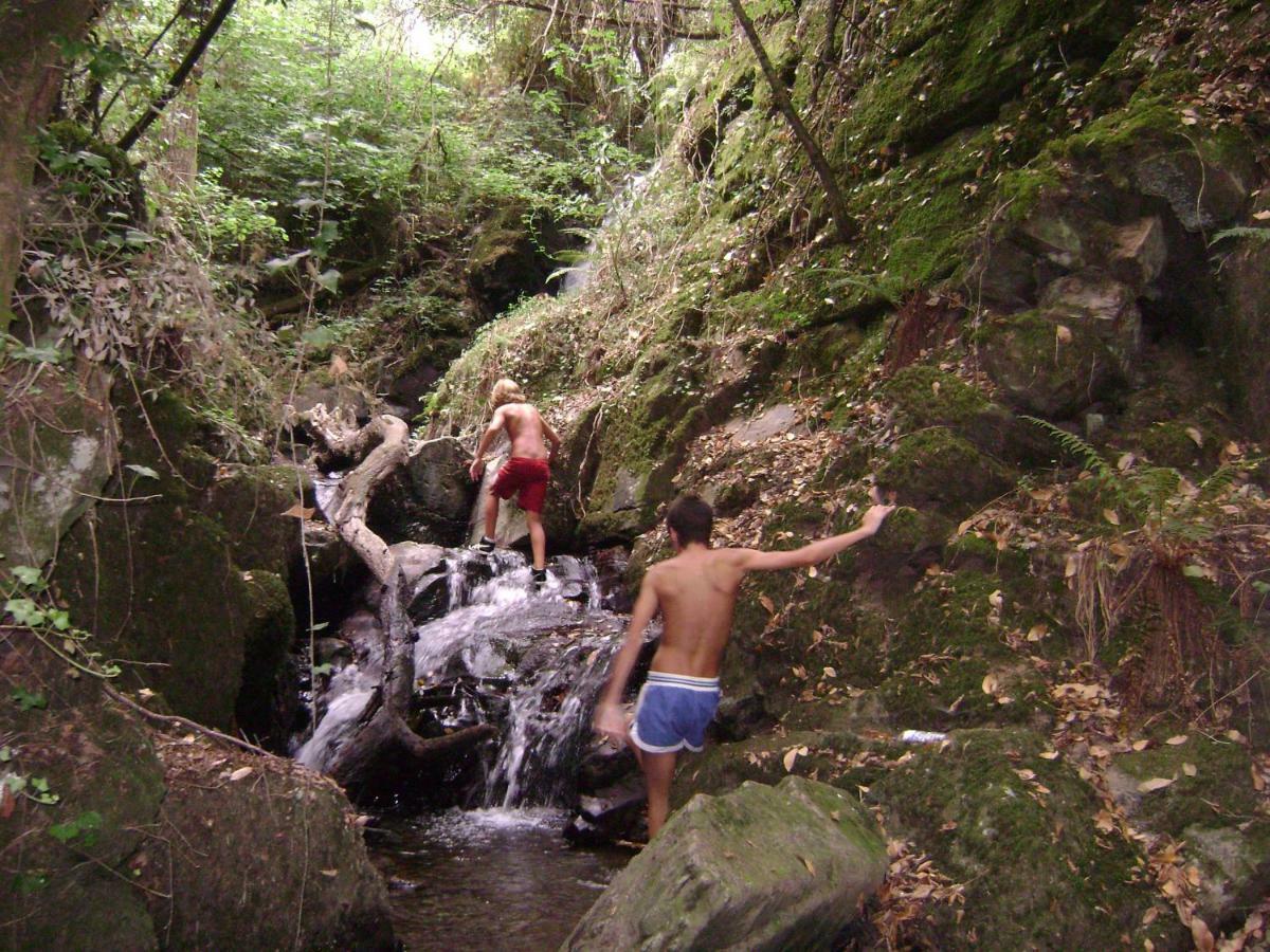 Quinta Da Portelada Peso da Régua Exteriér fotografie